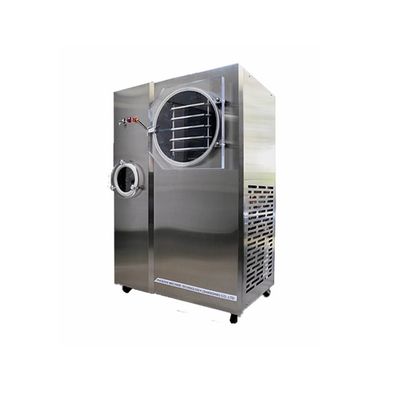 Mini Freeze Drying Machine