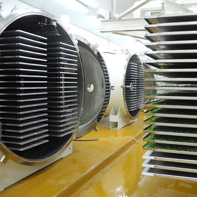 Multifunctional Automatic 500kg Freeze Drying Machine