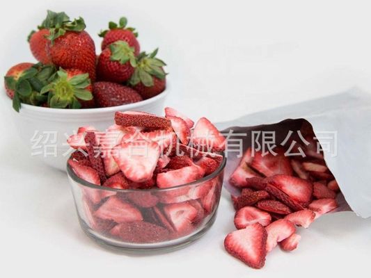 1000kg Freeze Drying Machine